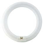 Osram T9 Lumilux Circline 32W - 840 Zimna Biel | 30cm